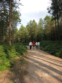 Visitors try out the new trail